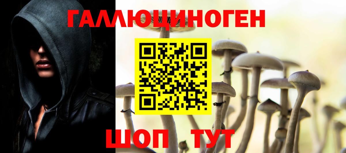 Галлюциногенные грибы мухоморы Светлоград