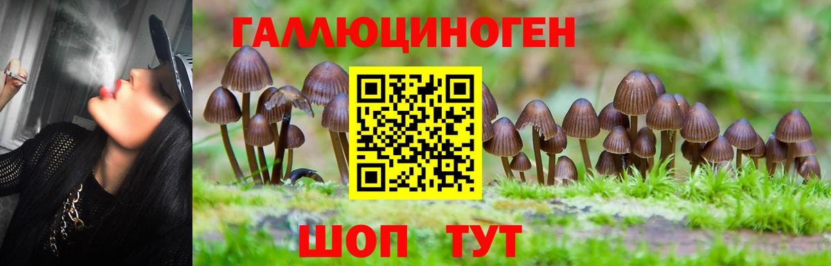 Светлоград  Псилоцибиновые грибы ЛСД  Вход с VPN 